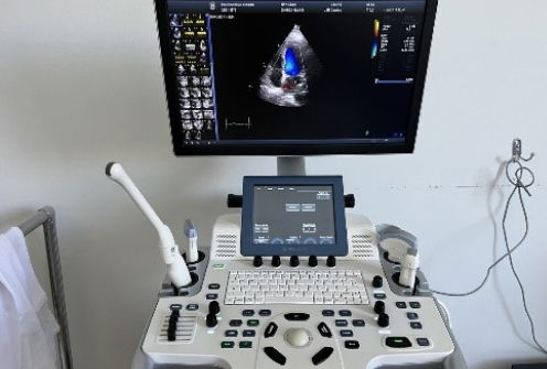 ultrasonic tester (Vivid T 8,   Voluson S6)